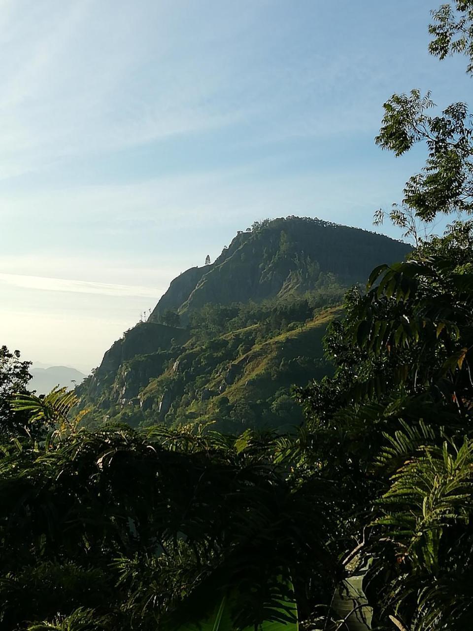 Eco Diamond Palace Ella Luaran gambar